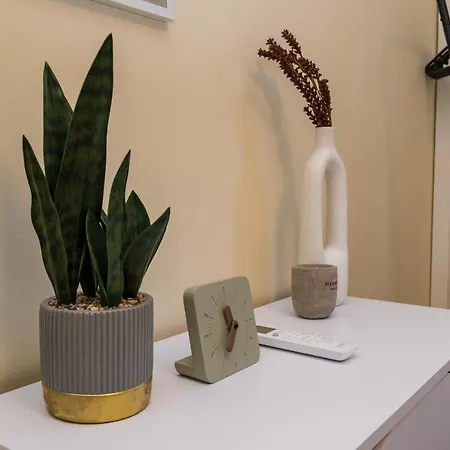 ホテル My Dalmatia - Toma With Private Swimming Pool 4*